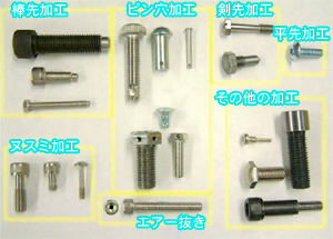 各種追加加工品